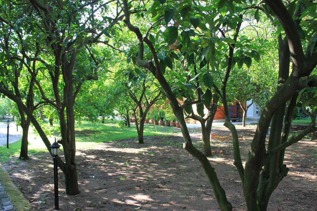 Yildiz Pension Bungalows Çıralı 外观 照片