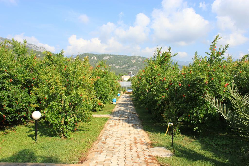 Yildiz Pension Bungalows Çıralı 外观 照片