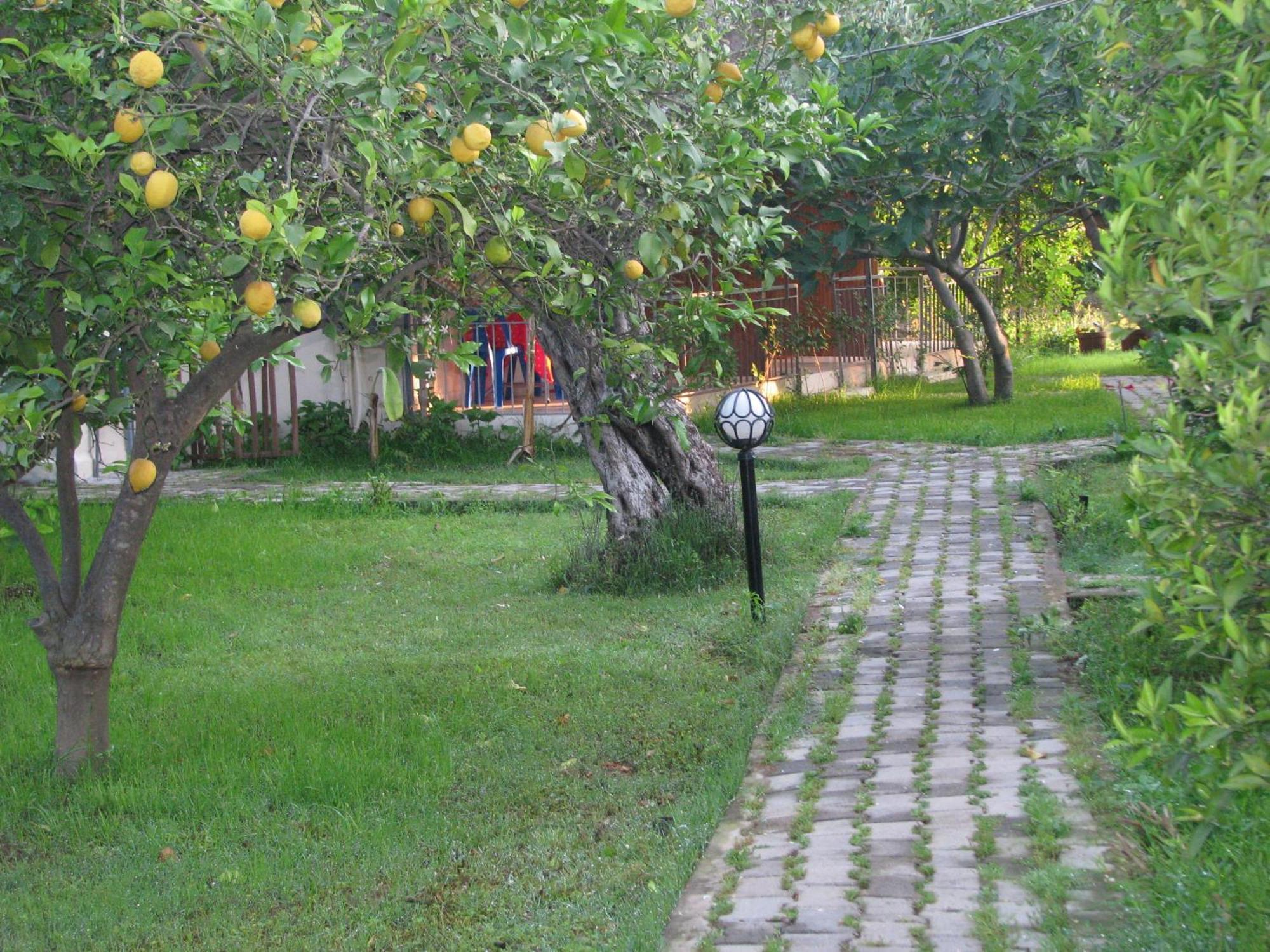 Yildiz Pension Bungalows Çıralı 外观 照片