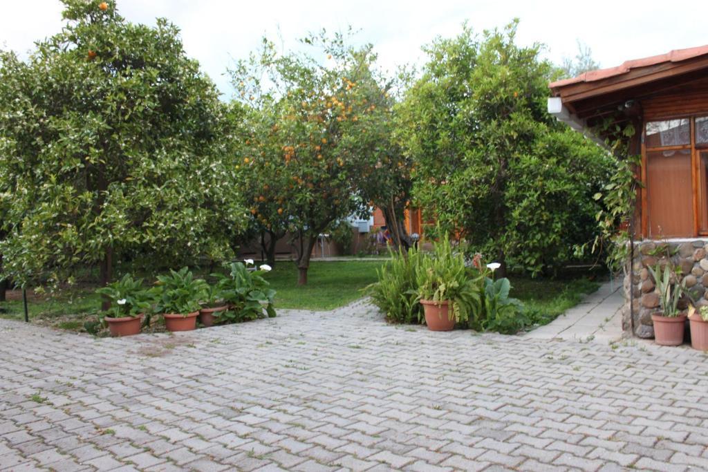 Yildiz Pension Bungalows Çıralı 外观 照片
