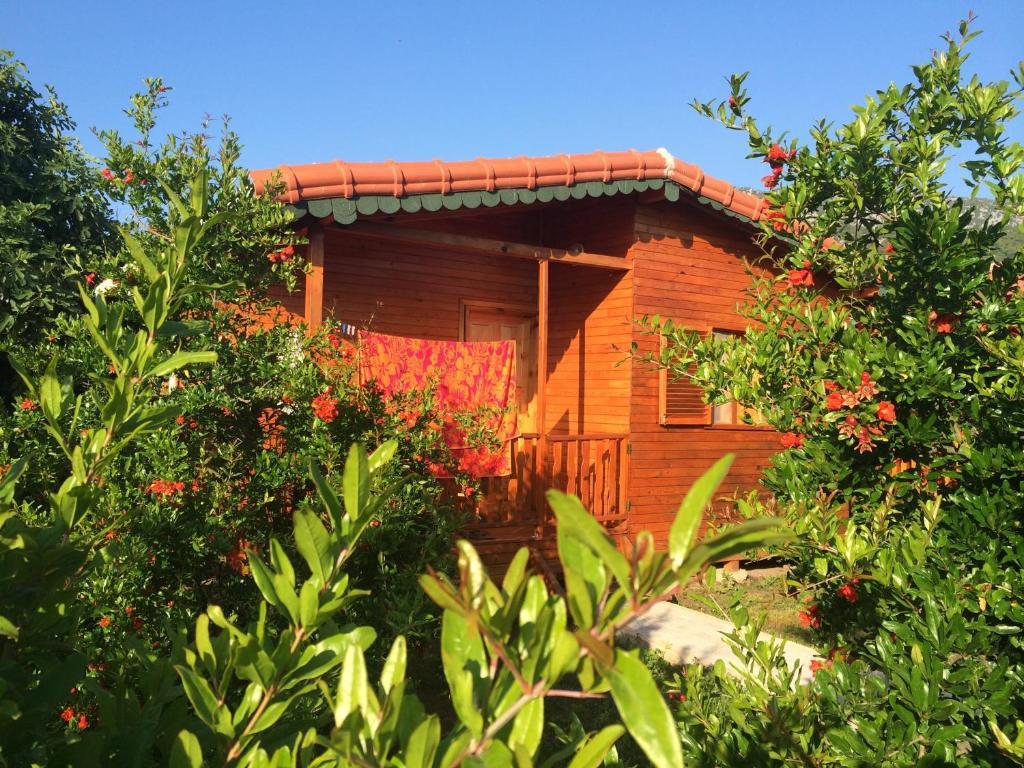 Yildiz Pension Bungalows Çıralı 客房 照片